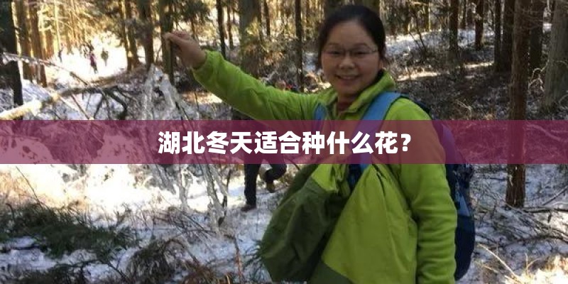 中国暴雨最大的地方是哪里？