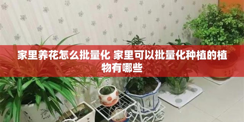 家里养花怎么批量化 家里可以批量化种植的植物有哪些