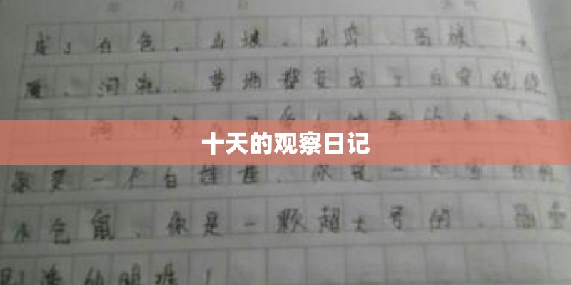 中国暴雨最大的地方是哪里？