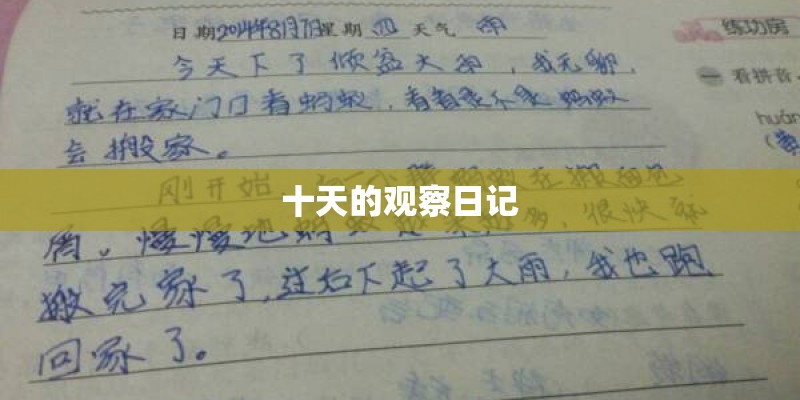 十天的观察日记