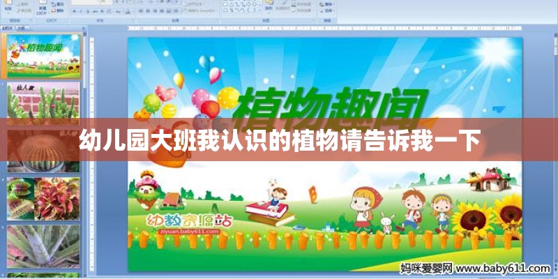 中国暴雨最大的地方是哪里？
