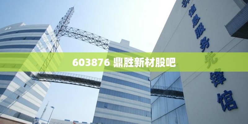 603876 鼎胜新材股吧