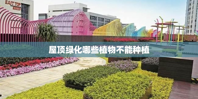 教授破格条件是什么？