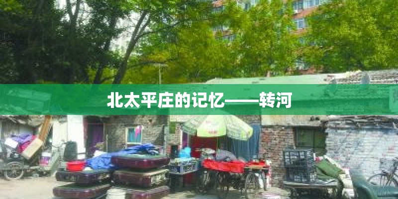 室内种什么植物最好