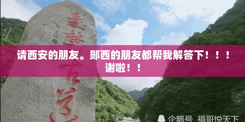 阴地花境种植方案是什么？