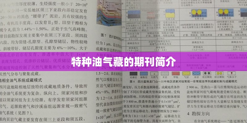阴地花境种植方案是什么？
