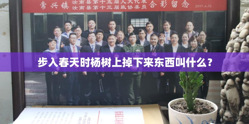 步入春天时杨树上掉下来东西叫什么？