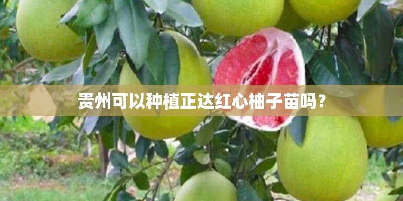 北京联想电脑售后维修服务网点