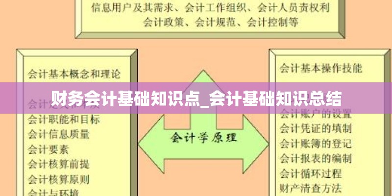 财务会计基础知识点_会计基础知识总结