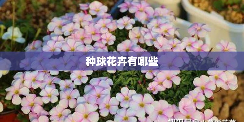 防城港天气预报15天查询准确吗