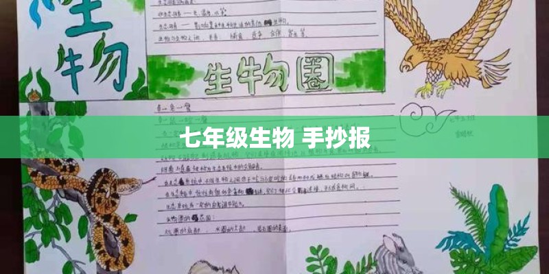 有哪些绿植可以吸甲醛？