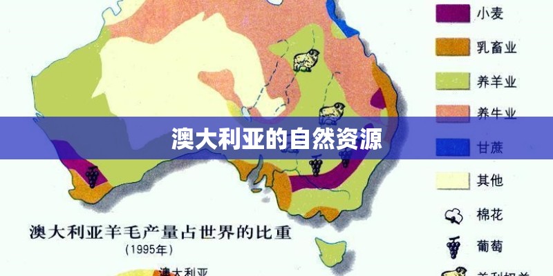 梦见家里养的花很茂盛