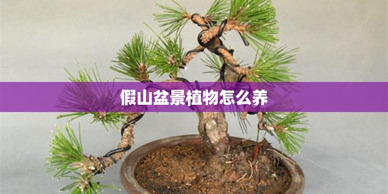 大学生假期怎么提升自己