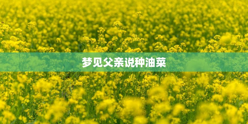 梦见家里养的花很茂盛
