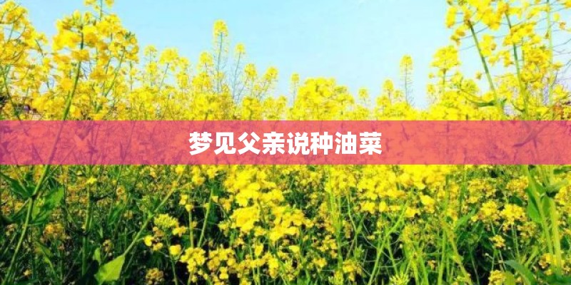 梦见父亲说种油菜