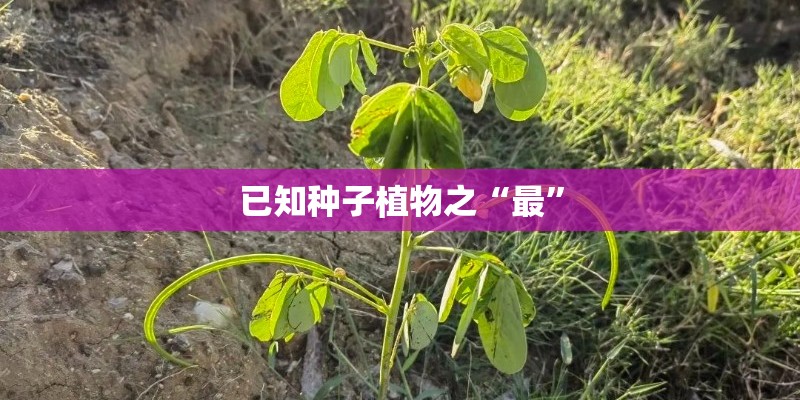 大学生假期怎么提升自己