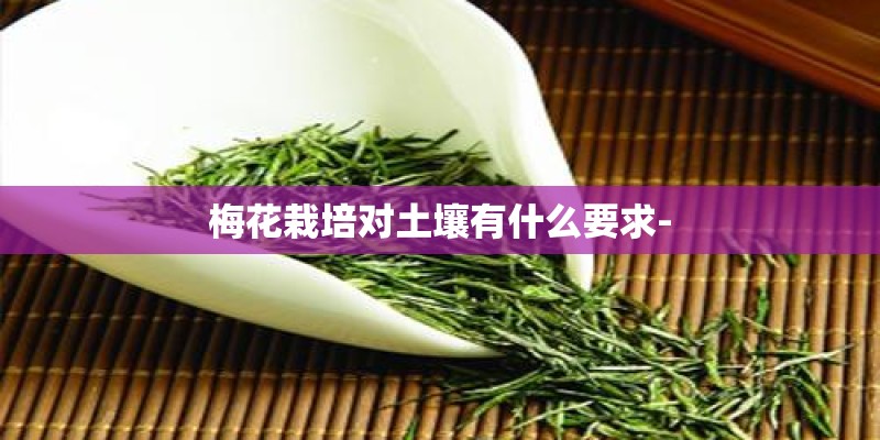 成都正规搬家公司的收费标准