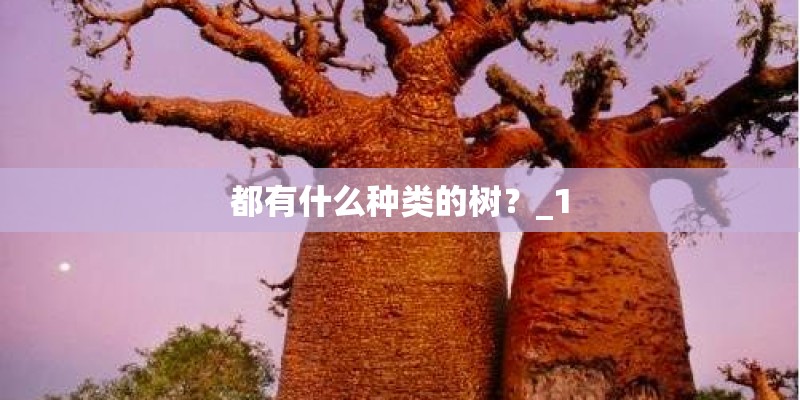 梦见家里养的花很茂盛