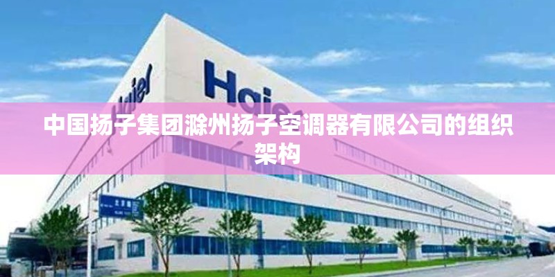 中国扬子集团滁州扬子空调器有限公司的组织架构