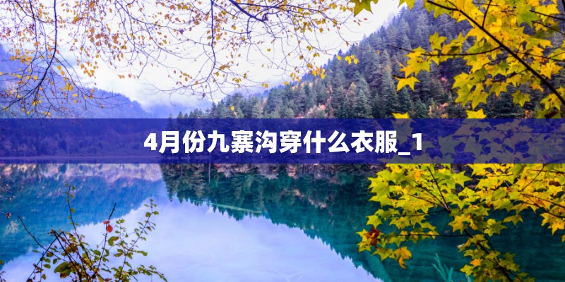中国扬子集团滁州扬子空调器有限公司的组织架构