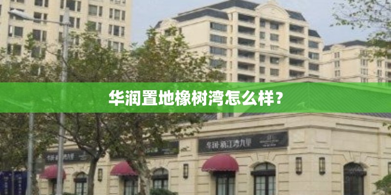 梦见家里养的花很茂盛