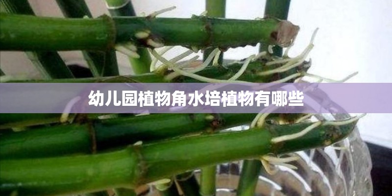 大学生假期怎么提升自己