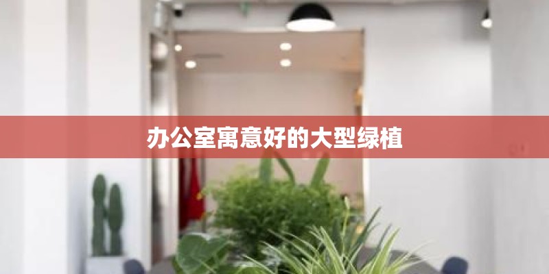 办公室寓意好的大型绿植