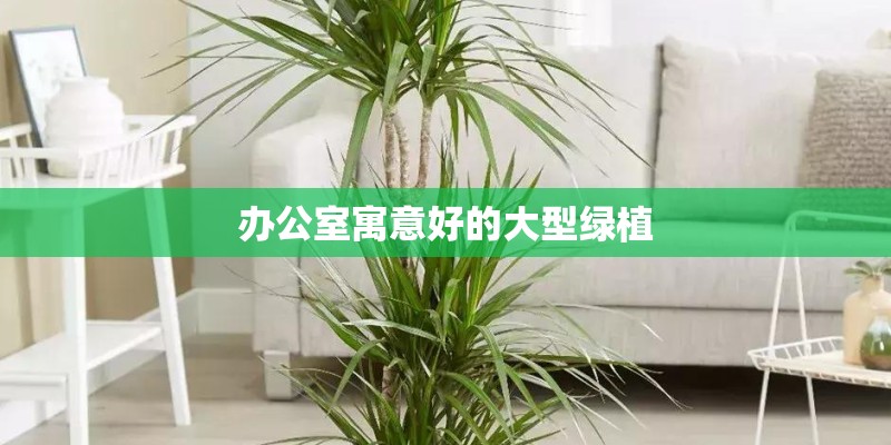 假山盆景植物怎么养