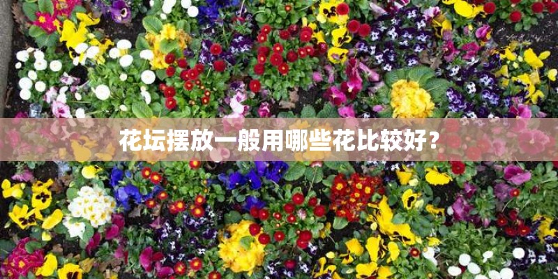 花坛摆放一般用哪些花比较好？