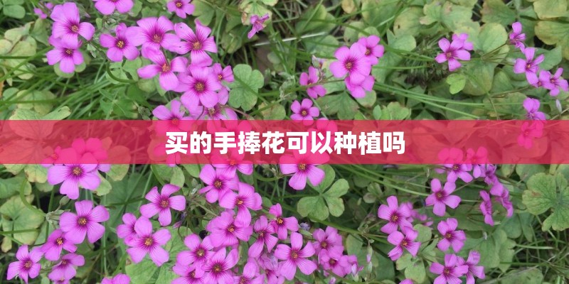 太原天气预报太原天气预报15天查询百度