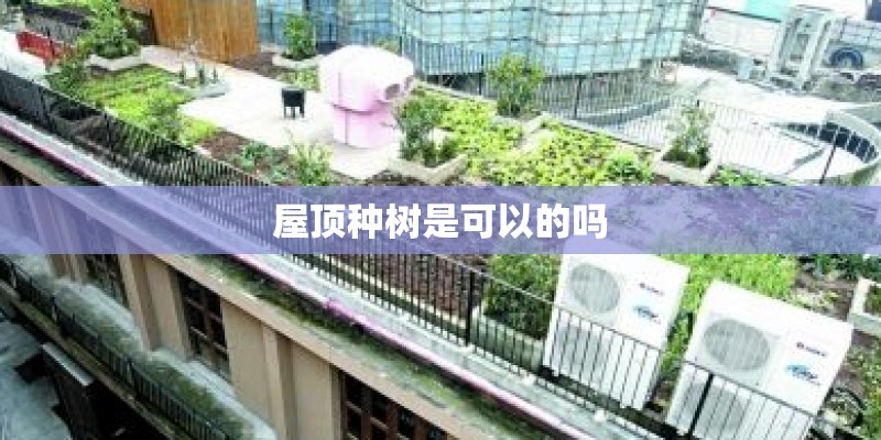 谁知道苏州现在有那些小区在交房啊？