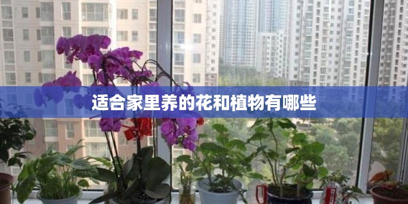 如何为出租房购买保险