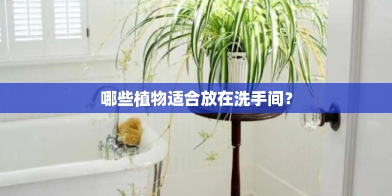 英伦SX7和全球鹰GX7有何区别？