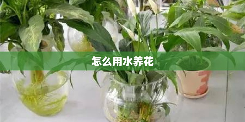 计算机都包括哪些专业？