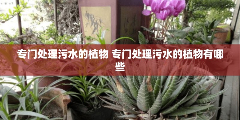长安汽车预约试驾
