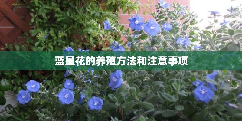 第一次买房需要咨询什么问题